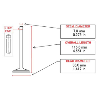 ITM Engine® - Exhaust Valve