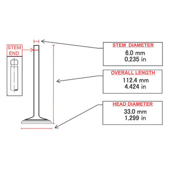 ITM Engine® - Intake Valve