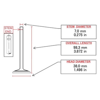 ITM Engine® - Intake Valve