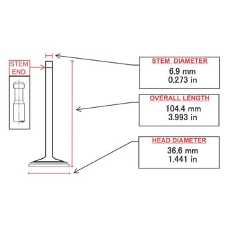 ITM Engine® - Intake Valve