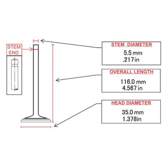 ITM Engine® - Intake Valve