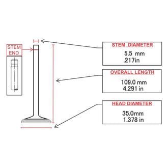 ITM Engine® - Intake Valve
