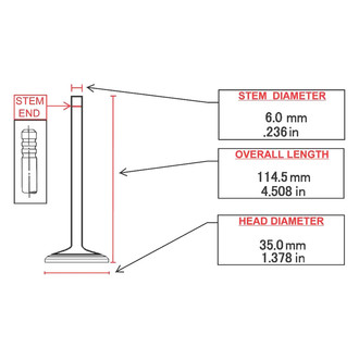 ITM Engine® - Intake Valve