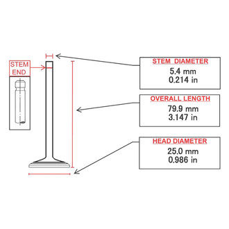ITM Engine® - Exhaust Valve
