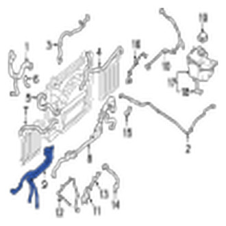 Jaguar OE - Lower Radiator Coolant Hose