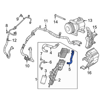 Jeep OE - Lower Radiator Coolant Hose