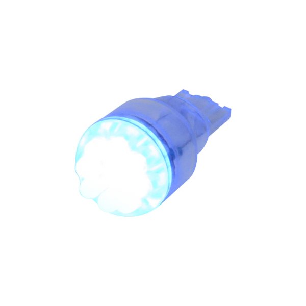 Keep It Clean® - Super Bright LED Bulb (921, Blue)