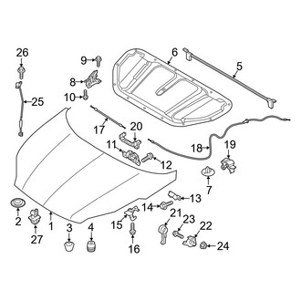 Kia OE - Hood & Components
