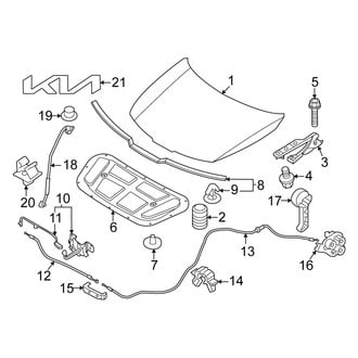 Kia OE - Hood & Components (USA Built)