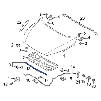 Kia OE - Front Hood Seal