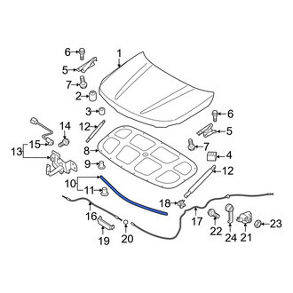Kia OE - Front Hood Seal