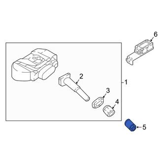 Kia OE - Tire Pressure Monitoring System (TPMS) Sensor Nut