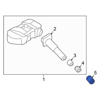 Kia OE - Tire Pressure Monitoring System (TPMS) Sensor Nut