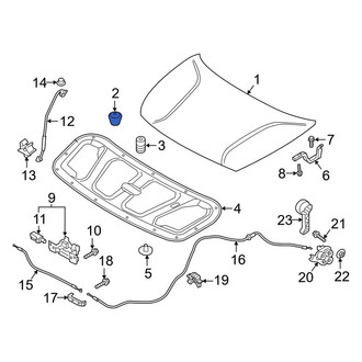 Kia OE - Lower Liftgate Stop Bumper