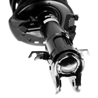 Strut-Plus™ OE Strut Assembly