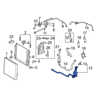 Land Rover OE - Lower Radiator Coolant Hose