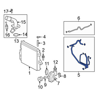 Land Rover OE - Lower Radiator Coolant Hose