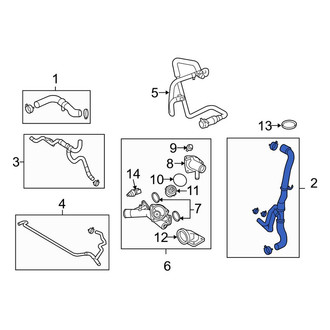 Land Rover OE - Lower Radiator Coolant Hose