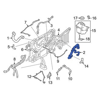 Land Rover OE - Lower Radiator Coolant Hose