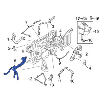 Land Rover OE - Lower Radiator Coolant Hose