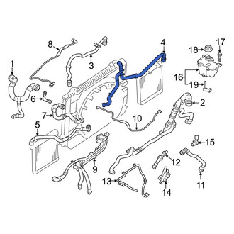 Land Rover OE - Lower Radiator Coolant Hose