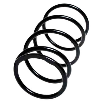 Lesjofors® - Front Coil Spring