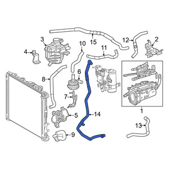 Lexus OE - Front Radiator Coolant Hose