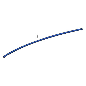 Lexus OE - Left Roof Drip Molding