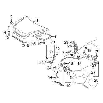 Lexus OE - Hood & Grille - Hood & Components