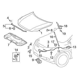 Lexus OE - Hood & Components
