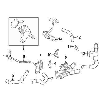 Lexus OE - Cooling - Hoses & Pipes (Canada Built)