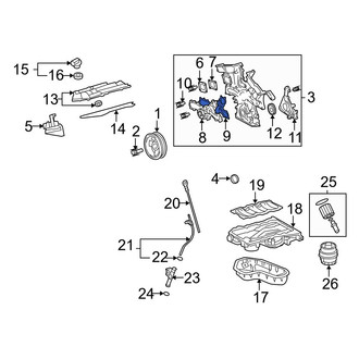 Lexus OE - Engine Water Pump Gasket
