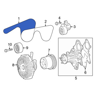 Lexus OE - Serpentine Belt