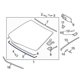 Lexus OE - Windshield Seal