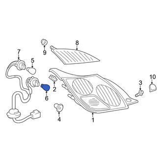 Lexus OE - Multi-Purpose Light Bulb