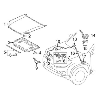 Lexus OE - Hood & Components