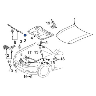 Lexus OE - Front Hood Plug