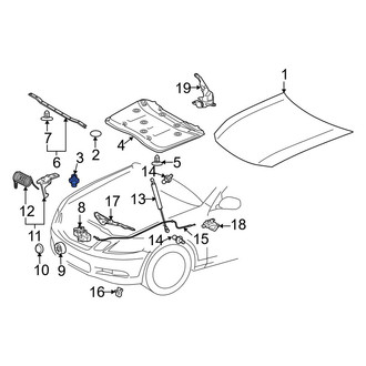 Lexus OE - Front Hood Stop Buffer