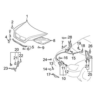 Lexus OE - Hood & Grille - Hood & Components