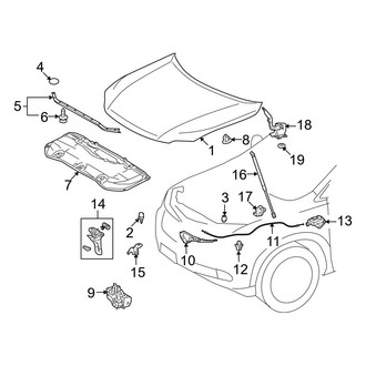 Lexus OE - Hood & Components