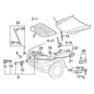 Lexus OE - Hood & Components