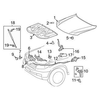 Lexus OE - Hood & Components