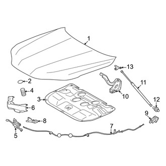 Lexus OE - Hood & Components