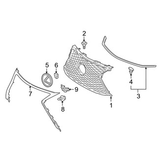 Lexus OE - Grille & Components (F Sport)