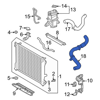 Lexus OE - Lower Radiator Coolant Hose