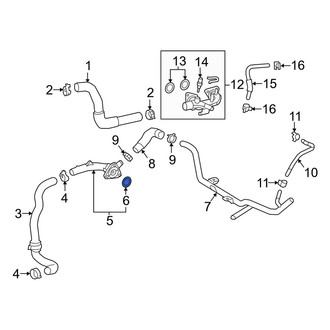 Lexus OE - Engine Coolant Thermostat Seal