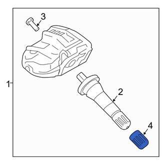 Lincoln OE - Tire Pressure Monitoring System (TPMS) Valve Stem Cap