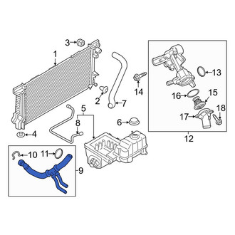 Lincoln OE - Lower Radiator Coolant Hose