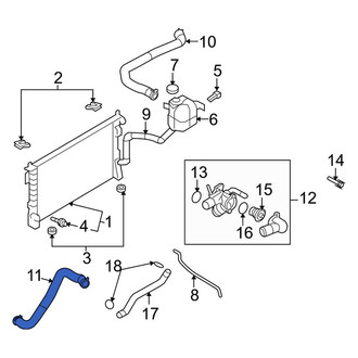 Lincoln OE - Lower Radiator Coolant Hose