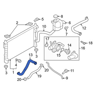 Lincoln OE - Lower Radiator Coolant Hose